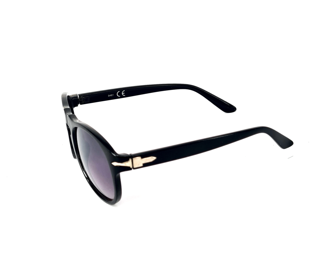 Lunette Solaire MIXTE ALBINO B60